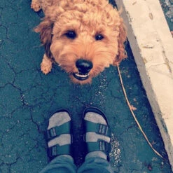 Birkenstock EVA Arizona Men's Sandals -Patagonia Shop birkenstock mens eva arizona sandals lifestylephoto 1