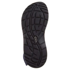 Chaco Z/Cloud Women's Sandals -Patagonia Shop chaco womens z cloud sandals tapestry cobalt sole