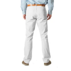 Coastal Cotton Five Pocket Stretch Twill Pant - 32" Inseam -Patagonia Shop coastal cotton five pocket stretch twill pant 32 stone back2 1