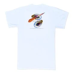 Coastal Cotton Men's Island Cotton Short-Sleeve Tee -Patagonia Shop coastal cotton mens island cotton short sleeve tee white oyster