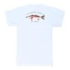 Coastal Cotton Men's Island Pima Cotton Short Sleeve T-Shirt