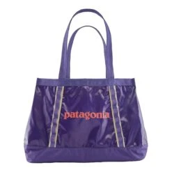 Patagonia Black Hole Tote - 25L
