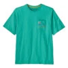 Patagonia Men's Line Logo Ridge Stripe Organic Pocket T-Shirt