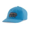 Patagonia Men's Back For Good Trad Cap