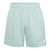 The North Face Men's Class V Pull-On Shorts