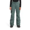 The North Face Women's Freedom Insulated Pants