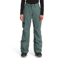 The North Face Women's Freedom Insulated Pants