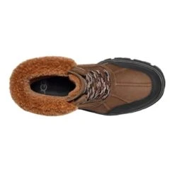 Ugg Women's Ashton Addie Tipped Boots -Patagonia Shop ugg womens ashton addie tipped boot top