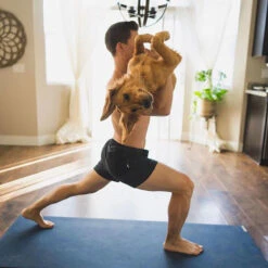 Vuori Men's Kore Shorts - 5" Inseam -Patagonia Shop vuori mens kore short 5 inseam ad 2028129